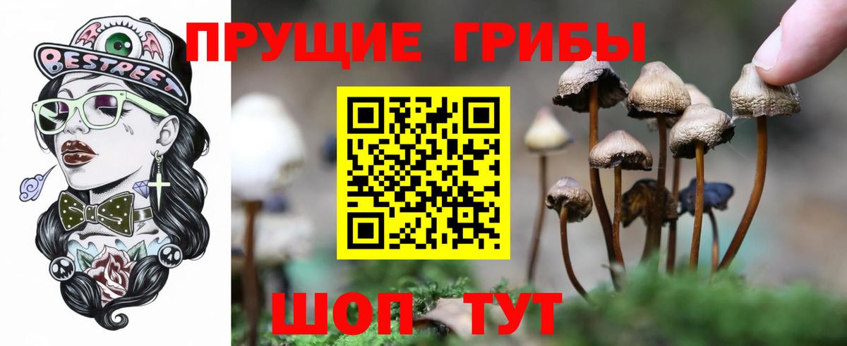 Галлюциногенные грибы MAGIC MUSHROOMS  Вход с VPN  Киржач 
